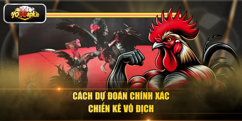Cách dự đoán chính xác chiến kê vô địch Cách dự đoán chính xác chiến kê vô địch