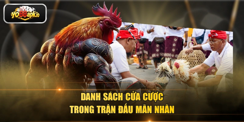 Danh sách cửa cược trong trận đấu mãn nhãn Danh sách cửa cược trong trận đấu mãn nhãn